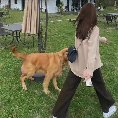 吉丽喜多